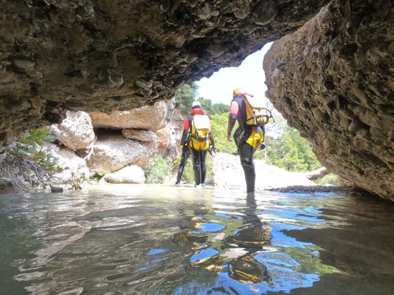 From Athens: Agios Loukas Gorge Canyoning Experience - Who Should Consider This Tour