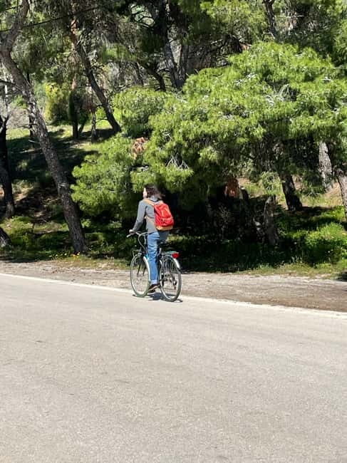 From Athens: Bike & Island Full-Day Tour to Poros - Authenticity and Value: Why This Tour Works