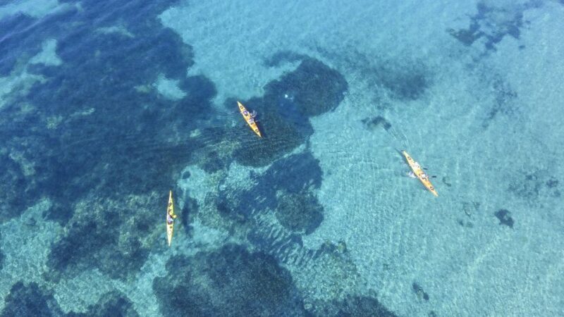 From Athens: Cape Sounion Guided Kayaking Tour with Lunch - Frequently Asked Questions