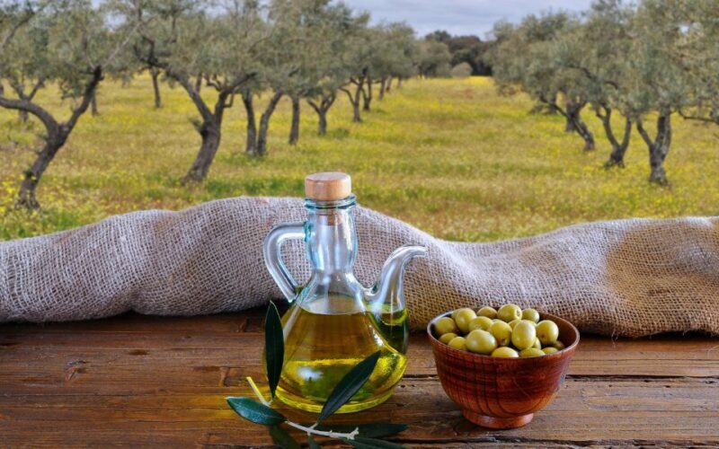 From Athens: Olive Oil Production & Wine Private Day Trip - From Athens: Olive Oil Production & Wine Private Day Trip – A Detailed Review