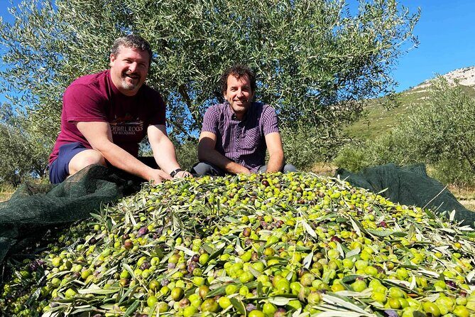 From Athens: Olive Oil Tasting, Olive Grove & Wine Experience - Final Thoughts