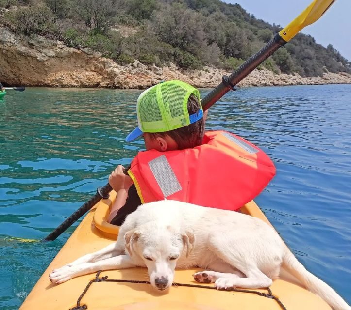 From Athens Sea Kayak Sunken City of Epidaurus - FAQ
