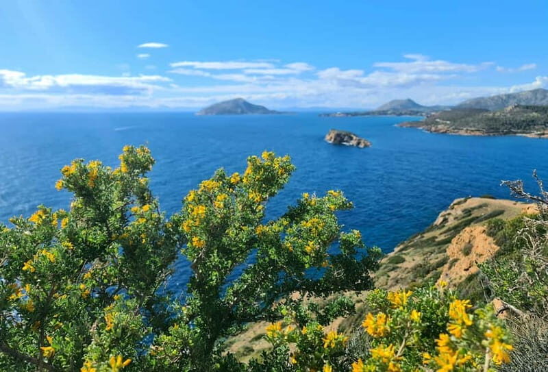 From Athens: Temple of Poseidon & Cape Sounion Half-Day Tour - A Detailed Look at the Tour Experience