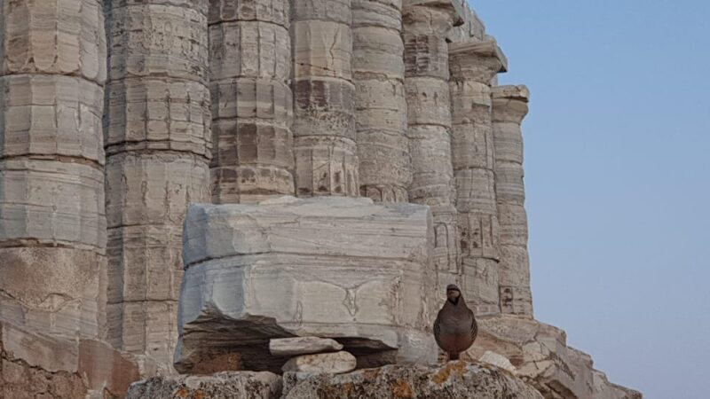 From Athens: Temple of Poseidon Private Couples Trip - A Deeper Look at the Tour