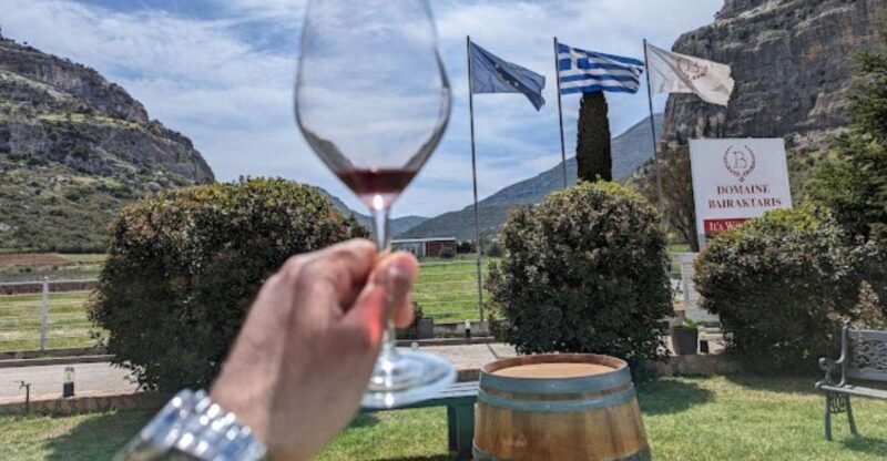 From Athens: Wine Roads Private Tour with Wine Tasting - A Deep Dive Into the Experience