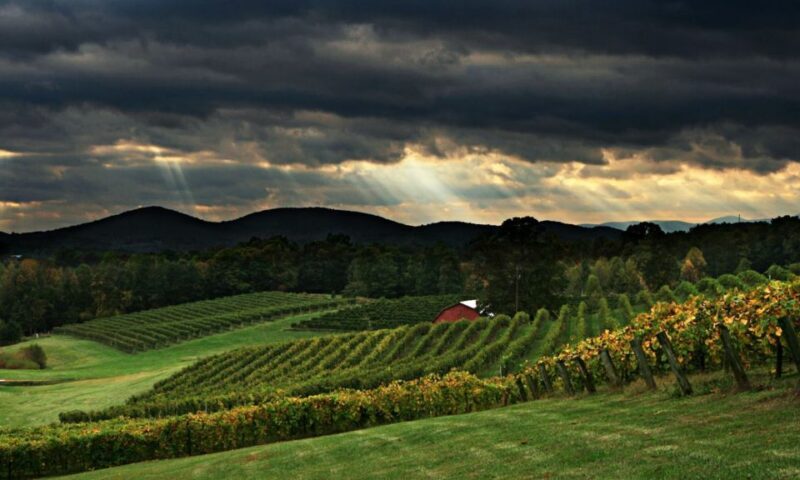 From Atlanta: North Georgia Wine Country Tour - Key Points