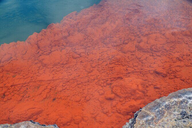 From Auckand: Wai-O-Tapu and Polynesian Spa Rotorua Day Tour - Exploring the Itinerary in Detail