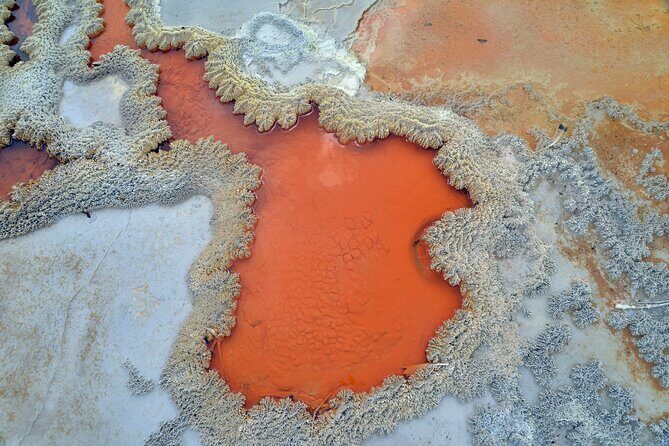 From Auckand: Wai-O-Tapu and Polynesian Spa Rotorua Day Tour - Who Would Love This Tour?