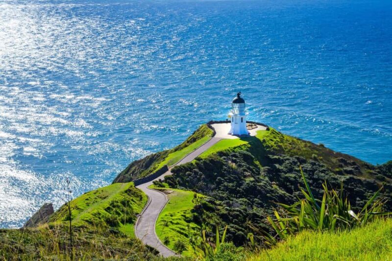 From Auckland: 6-Day Northland Tour with German Guide - The Sum Up