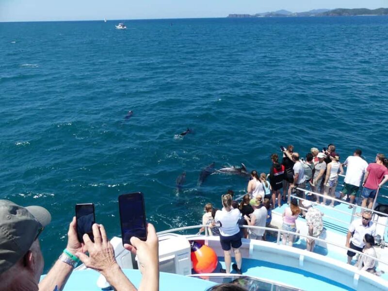 From Auckland: 6-Day Northland Tour with German Guide - FAQ