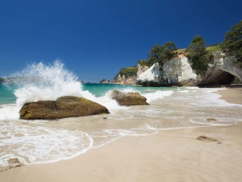 From Auckland: Cathedral Cove & Hot Water Beach Tour - Key Points