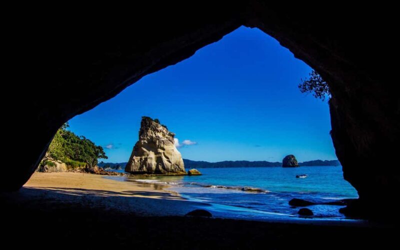 From Auckland: Cathedral Cove & Hot Water Beach Tour - An In-Depth Look at the Cathedral Cove & Hot Water Beach Tour