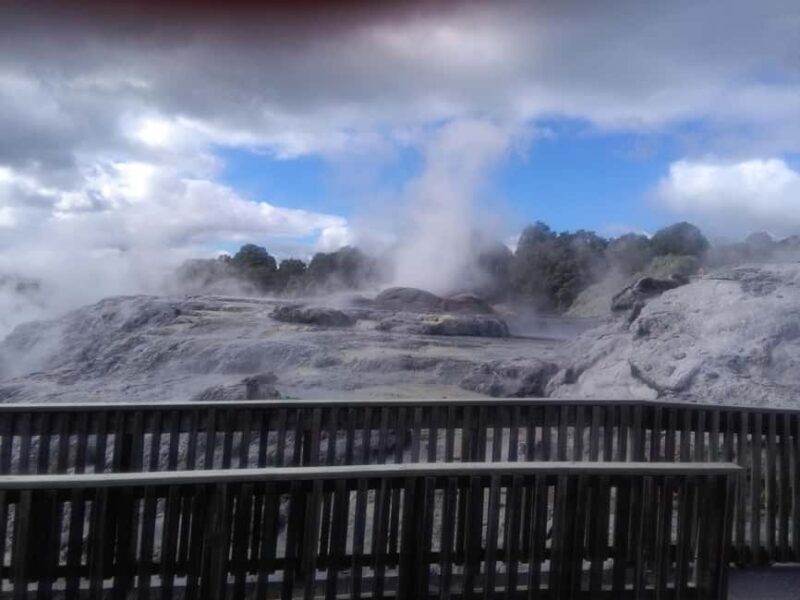 From Auckland: Day Trip to Rotorua with Optional extras - Key Points