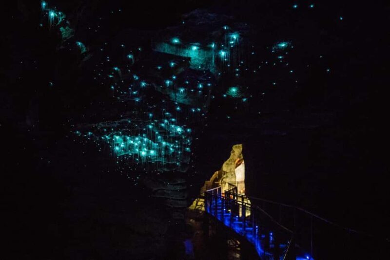 From Auckland: Day Trip to Waitomo Glow Worm Caves - FAQ