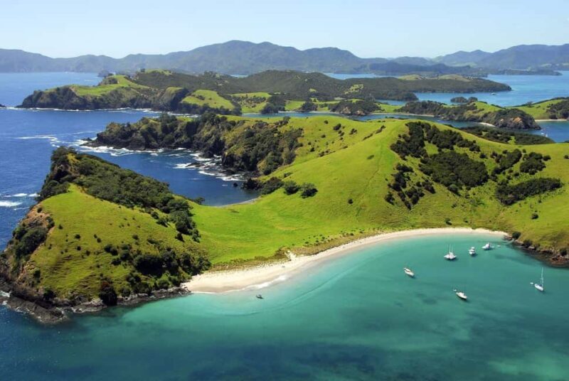 From Auckland: Full-Day Tour to the Bay of Islands - Key Points
