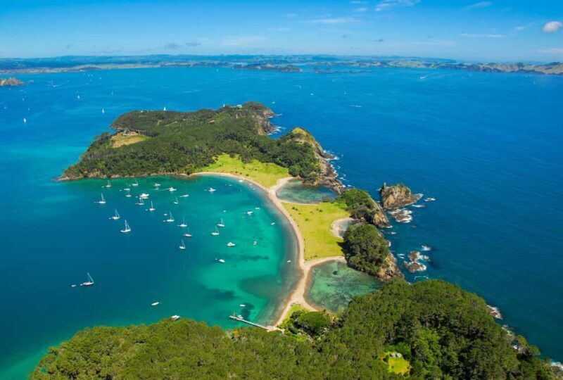 From Auckland: Full-Day Tour to the Bay of Islands - Who Should Consider This Tour?