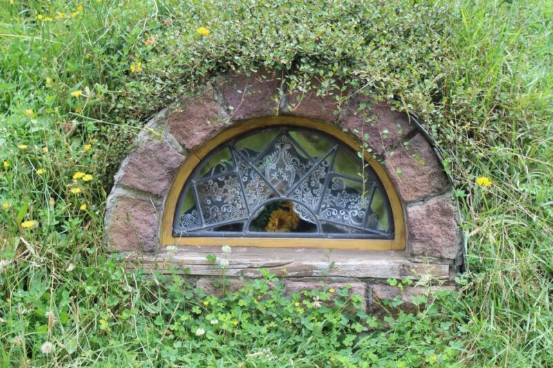From Auckland: Hobbiton Afternoon Tour - From Auckland: Hobbiton Afternoon Tour
