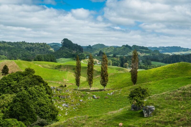From Auckland: Hobbiton and Waitomo Day Tour with Lunch - What Makes This Tour Stand Out