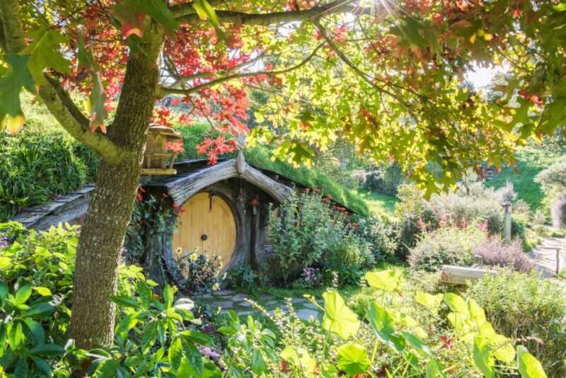 From Auckland: Hobbiton and Waitomo Day Tour with Lunch - The Sum Up