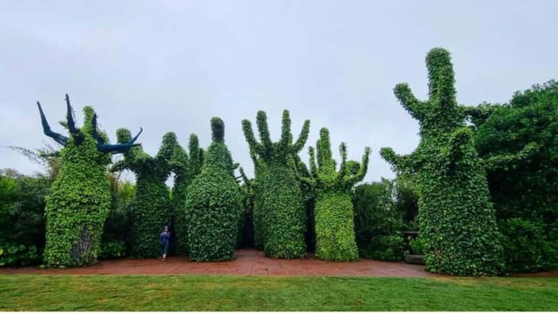From Auckland: Hobbiton & Hamilton Gardens Small Group Tour - Who Would Love This Tour?