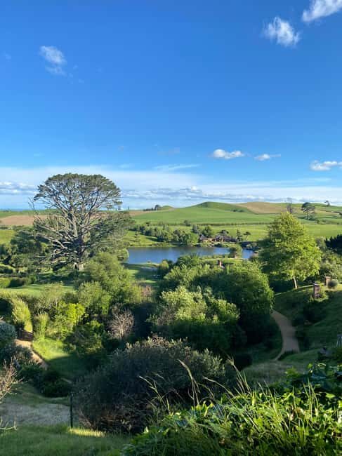 From Auckland: Hobbiton Movie Set and Waitomo Caves Tour - A Deep Dive into the Experience