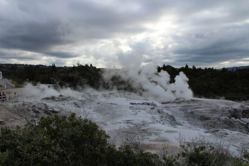 From Auckland: Hobbiton & Rotorua Tour with Lunch at Te Puia - A Deep Dive into the Experience