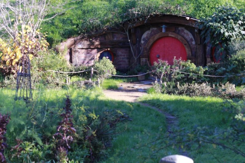 From Auckland: Hobbiton & Rotorua Tour with Lunch at Te Puia - The Sum Up