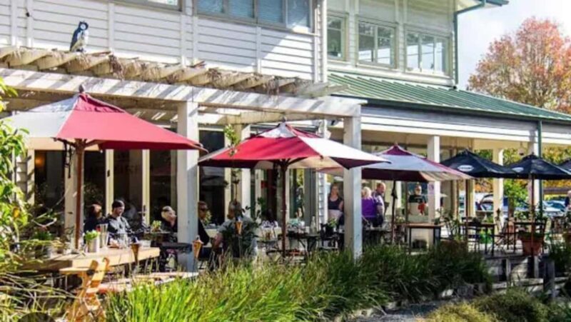 From Auckland: Kiwi Bird Encounter & 3-Course Dinner Tour - From Auckland: Kiwi Bird Encounter & 3-Course Dinner Tour
