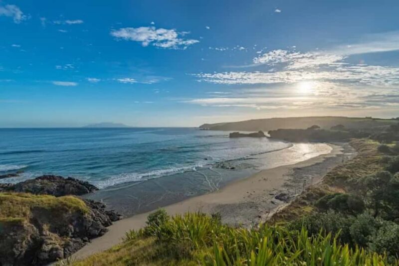 From Auckland: Kiwi Bird Encounter & 3-Course Dinner Tour - Why This Tour Is a Great Choice