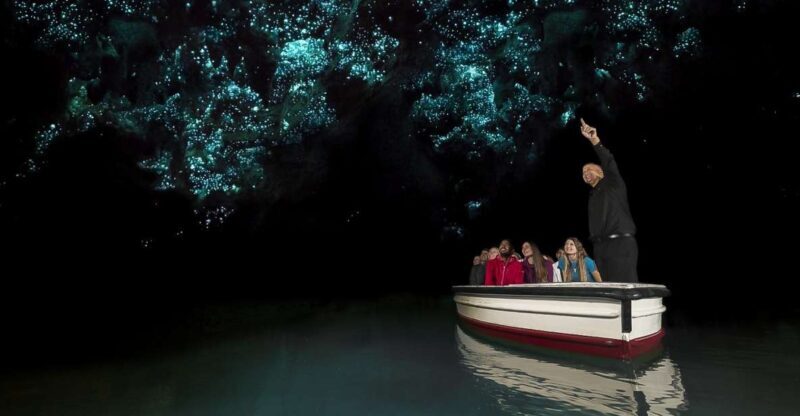 From Auckland or Rotorua: Hobbiton & Waitomo Tour with Lunch - Visiting Hobbiton and Waitomo: What to Expect