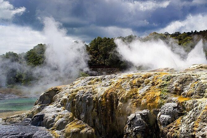 From Auckland: Rotorua Mori Village & Hot Springs with Haka - The Value for Your Money