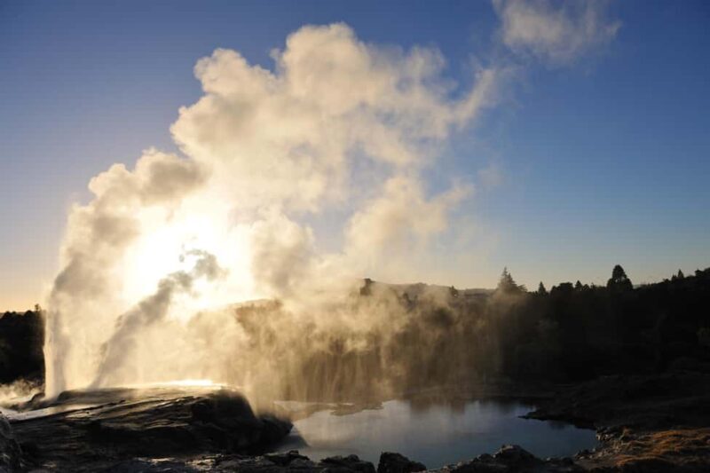From Auckland: Rotorua Te Puia, Haka & Polynesian Spa Tour - From Auckland: Rotorua Te Puia, Haka & Polynesian Spa Tour