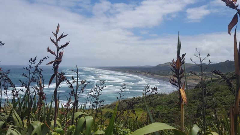 From Auckland: Small Group Kumeu Wine Tour with Lunch - Key Points