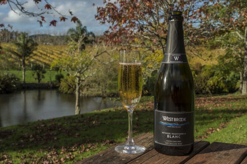 From Auckland: Small Group Kumeu Wine Tour with Lunch - Who Is This Tour Best Suited For?