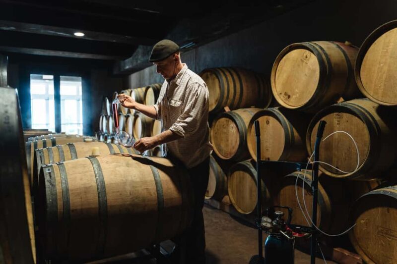 From Auckland: Waiheke Island Sip & Savour Tour with Lunch - Key Points