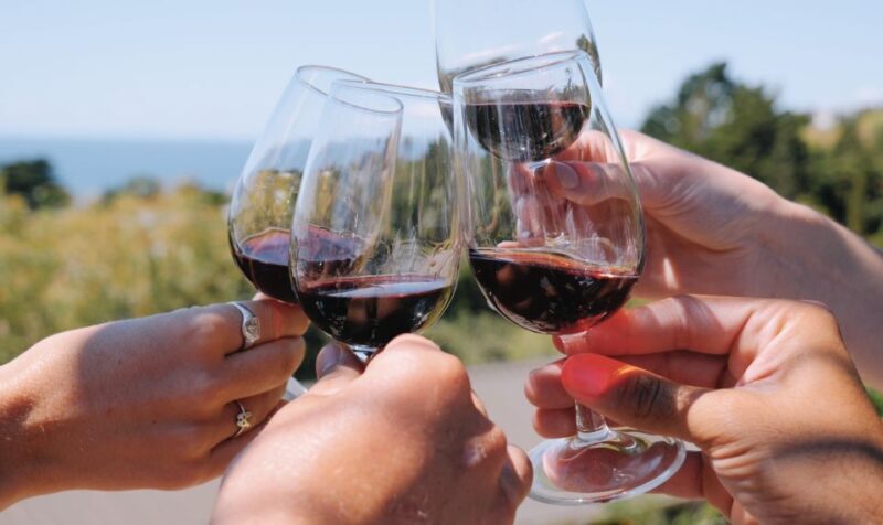 From Auckland: Waiheke Island Wine Cellar Tour - Who Will Love This Tour?