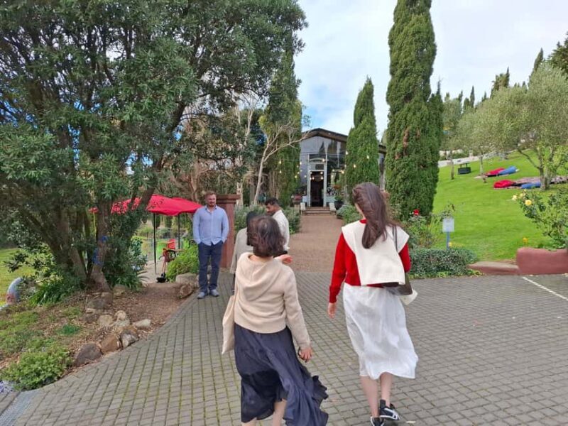 From Auckland: Waiheke Island Wine Cellar Tour - Final Thoughts