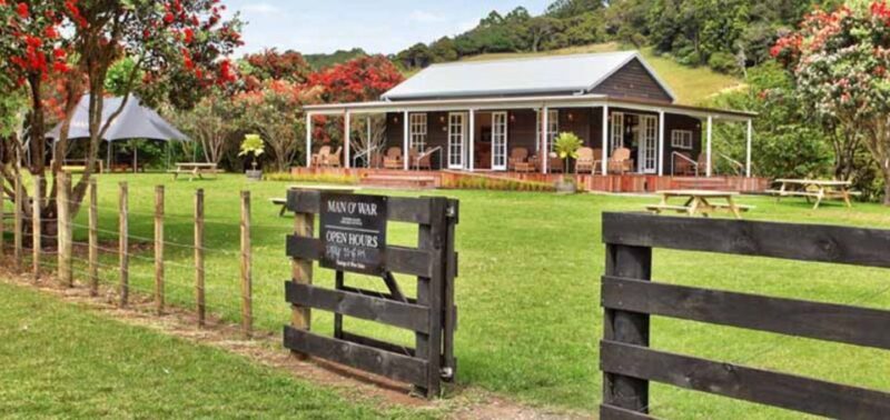 From Auckland: Waiheke Island Wineries' Tour - Exploring the Details of the Waiheke Wineries Tour