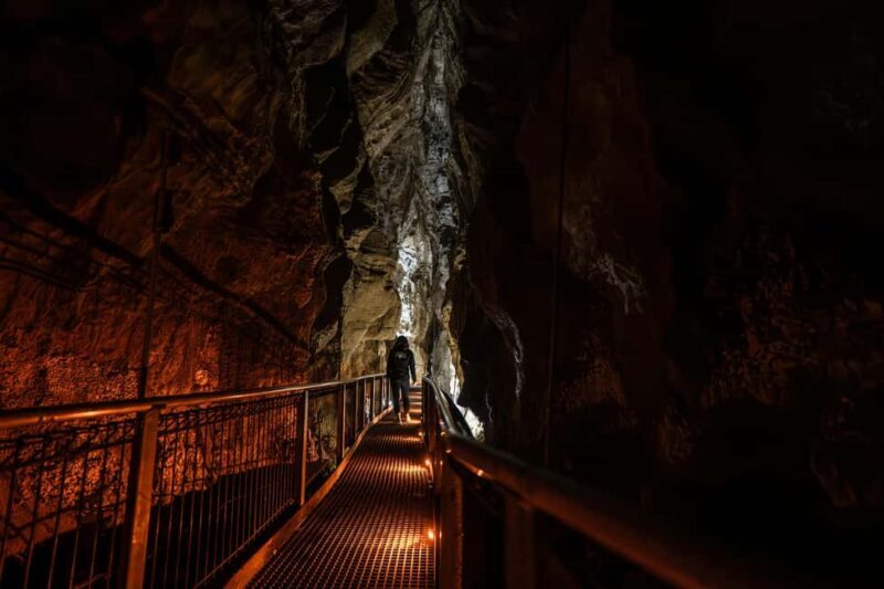 From Auckland: Waitomo Caves and Kiwi House Group Tour - From Auckland: Waitomo Caves and Kiwi House Group Tour
