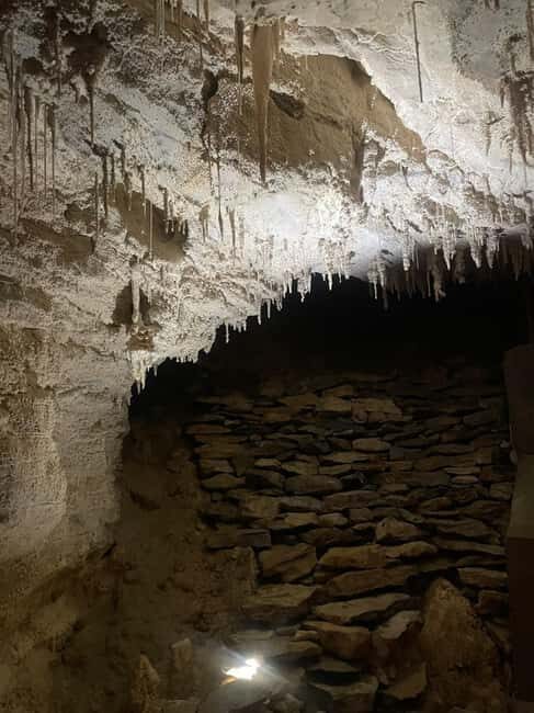 From Auckland: Waitomo Caves and Kiwi House Group Tour - Why This Tour Is Worth It