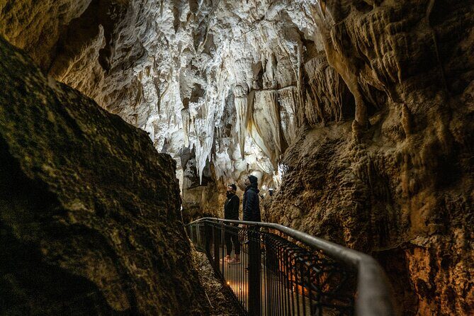 From Auckland: Waitomo Caves and Kiwi House Small Group Tour - Practical Considerations and Tips