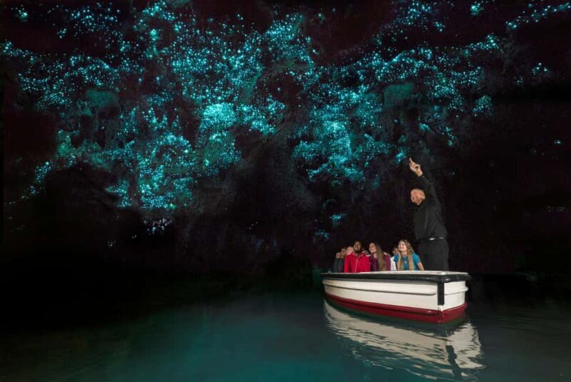 From Auckland: Waitomo Glow Worm Caves & Rotorua Tour - The Wonder of Waitomo Glowworm Caves
