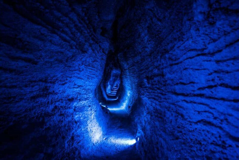 From Auckland: Waitomo Glowworm and Ruakuri Caves Day Tour - Key Points