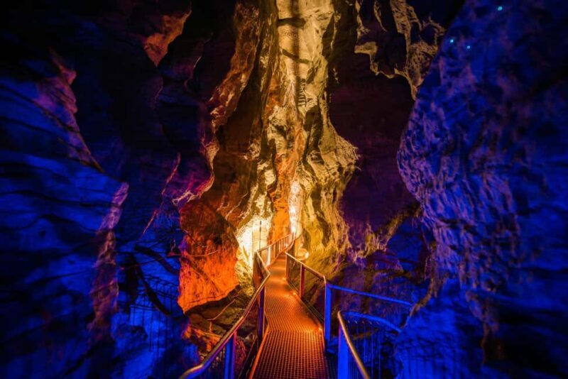 From Auckland: Waitomo Glowworm and Ruakuri Caves Day Tour - An In-Depth Look at the Tour Experience