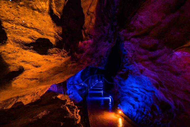 From Auckland: Waitomo Glowworm and Ruakuri Caves Day Tour - Authentic Feedback from Travelers
