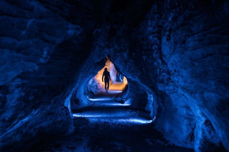 From Auckland: Waitomo Glowworm and Ruakuri Caves Day Tour - Final Thoughts: Is This Tour Right for You?
