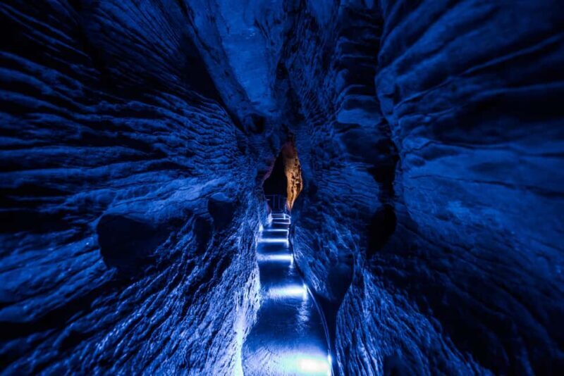 From Auckland: Waitomo Glowworm and Ruakuri Caves Day Tour - The Sum Up