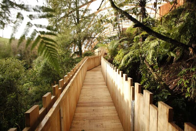 From Auckland: Waitomo Glowworm and Ruakuri Caves Day Tour - FAQs