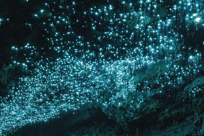 From Auckland: Waitomo Glowworm & Cave Explorer Small Group Tour - From Auckland: Waitomo Glowworm & Cave Explorer Small Group Tour — A Deep Dive