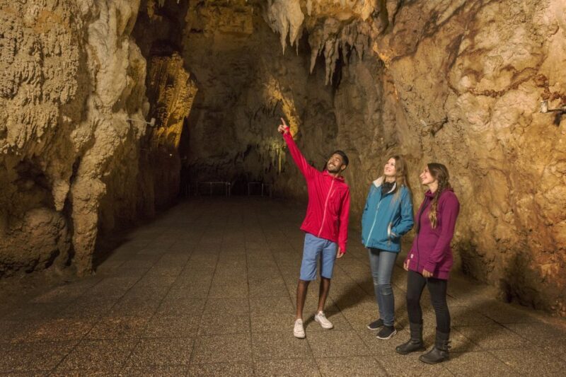 From Auckland: Waitomo & Hobbiton Bus Tour with Lunch - A Deep Dive into the Full-Day Experience